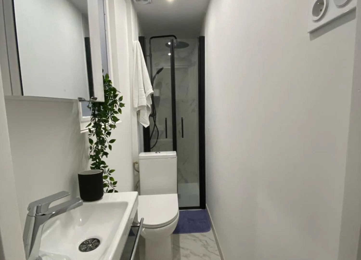 Studio Cosy Hypercentre De Toulouse Apartment